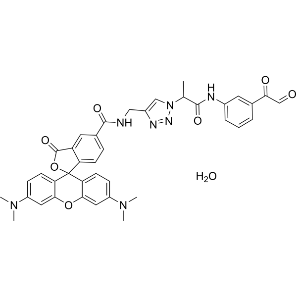 Citrulline-specific probe-rhodamine hydrate 2309313-01-5